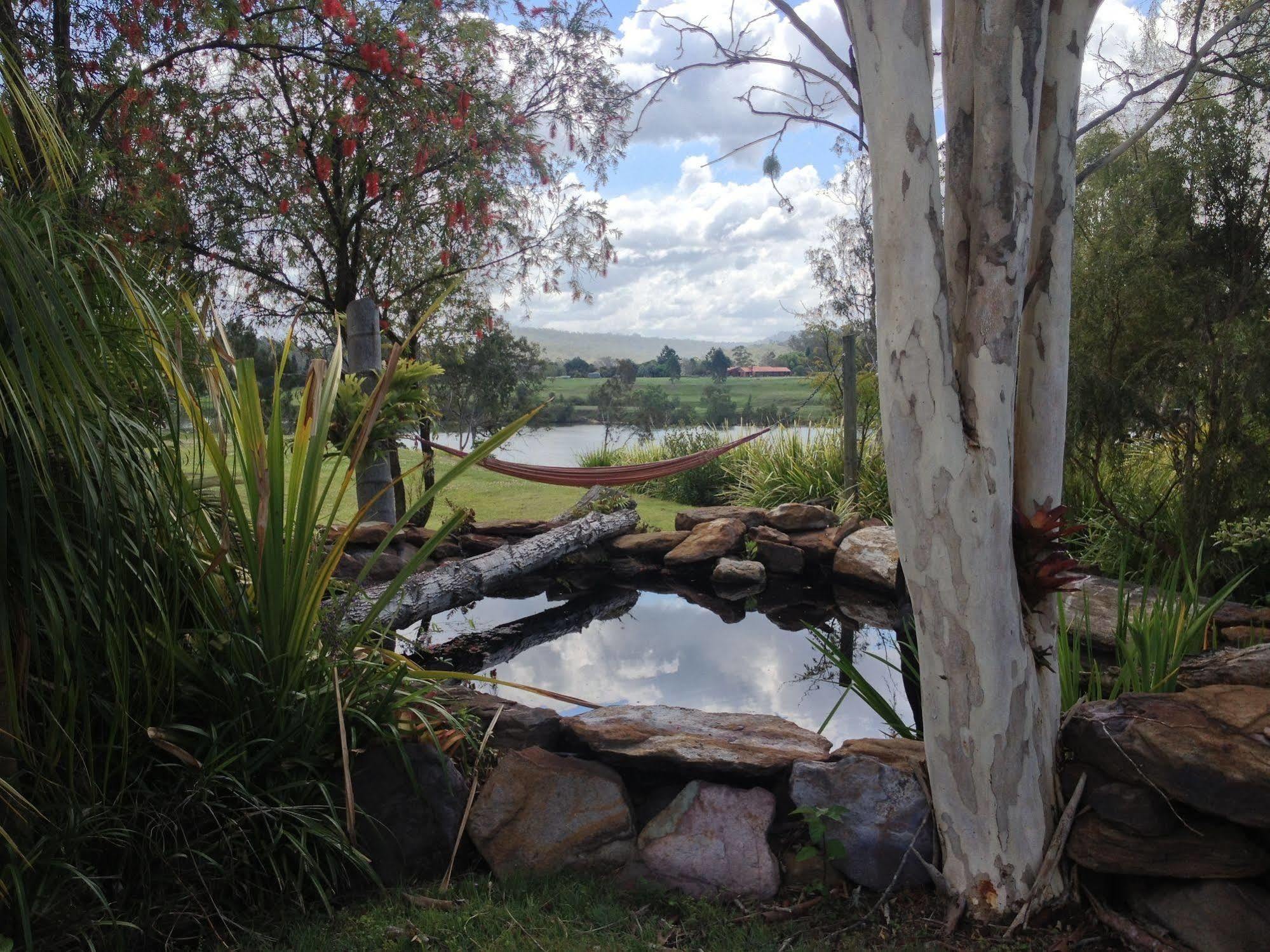 Clarence River Bed & Breakfast Γκράφτον Εξωτερικό φωτογραφία