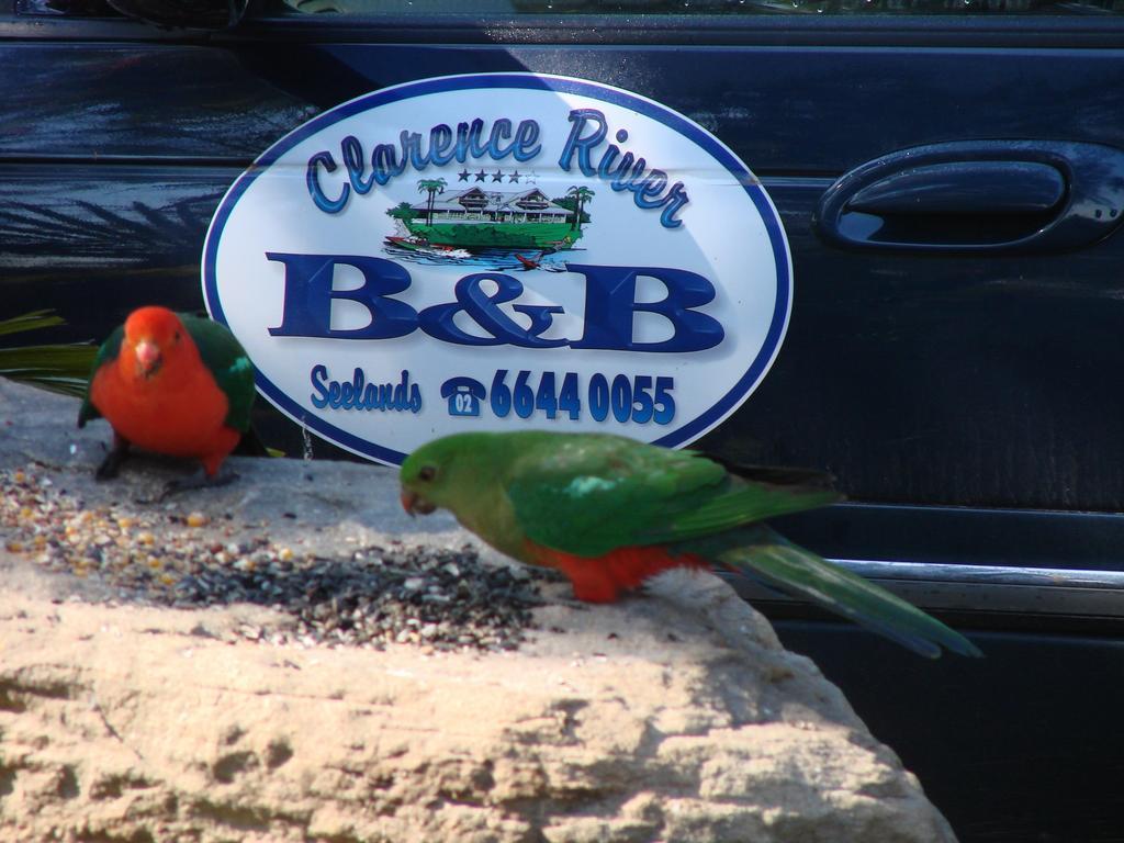 Clarence River Bed & Breakfast Γκράφτον Εξωτερικό φωτογραφία